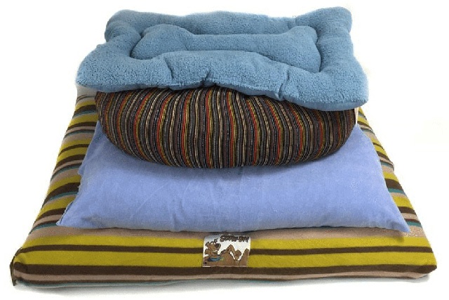 Pet Treater Free Dog Bed Offer